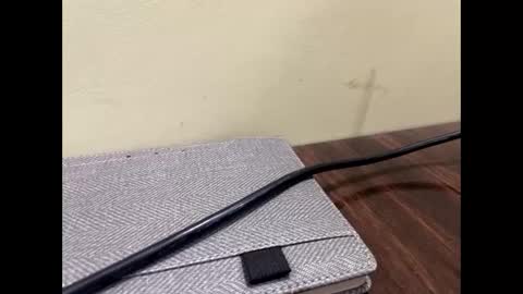 samnivin online show from October 10, 5:29 pm