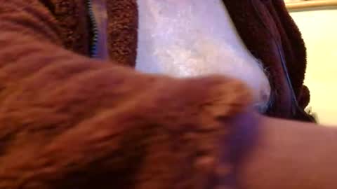 Sam online show from November 1, 12:15 am