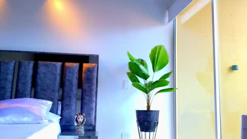 Santiago Seans online show from January 14, 6:33 pm