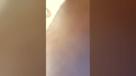 savagebeast6969101 online show from May 28, 2:26 pm
