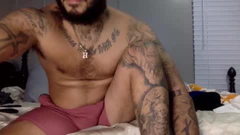 savagebullxxx online show from January 8, 3:29 am