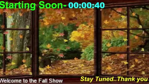 Snapshot of scifidiscoguy chatting on September 29, 12:09 am ...PHIL... online show from September 29, 12:09 am