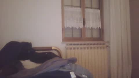 Snapshot of scotchwhieskie chatting on December 24, 11:44 pm scotchwhieskie online show from December 24, 11:44 pm