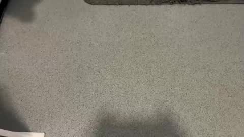 scottyc48 online show from December 22, 11:07 am