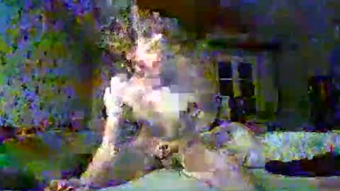 scratt67 online show from November 22, 3:39 am