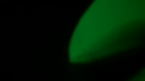 SeanWadGodDamn online show from October 12, 9:53 pm