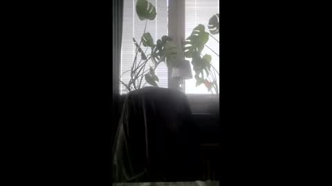 Sensi0ne online show from February 9, 1:35 pm