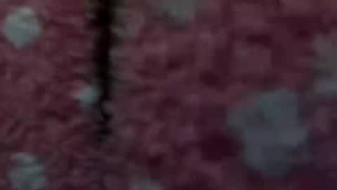 sexsfreak1 online show from November 29, 5:04 pm