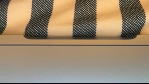 sexxxy cock online show from March 4, 8:32 am