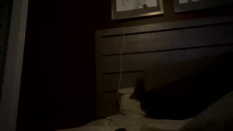 ShaneConn online show from February 9, 10:43 pm