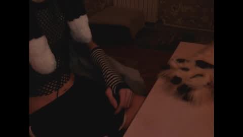 sheppaws4you online show from December 20, 1:35 am