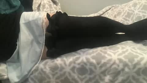 shysissy12 online show from September 28, 1:09 pm