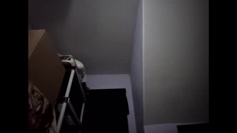 sil15nissan online show from February 23, 3:52 am