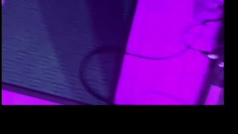 Dustbunnyfoofoo online show from September 23, 6:13 am