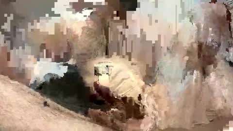 Niki online show from February 6, 6:32 am