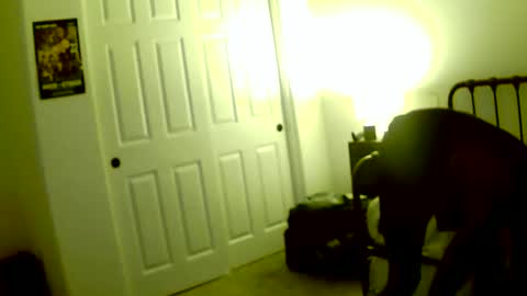 sirnose60 online show from November 1, 11:14 am