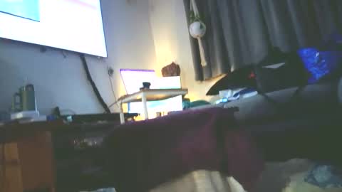 Snapshot of sissyboilooking chatting on October 11, 3:05 pm RESPONDS WELL TO ... online show from October 11, 3:05 pm