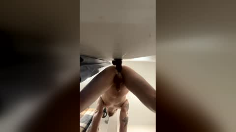 skjustcurious online show from February 2, 8:24 am