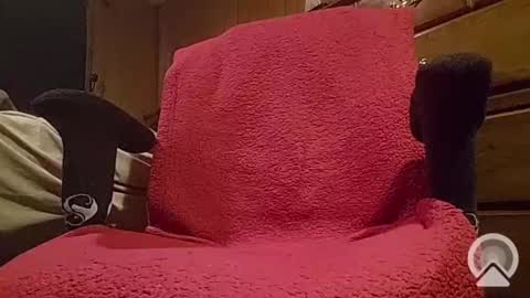 slam_shady online show from February 9, 11:25 pm