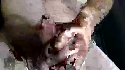 Z online show from November 13, 8:46 pm