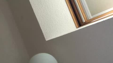 Bernd online show from September 18, 2:30 pm