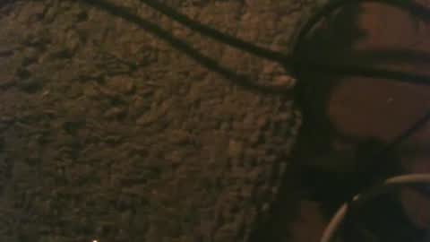 Stoffel online show from November 22, 2:00 am