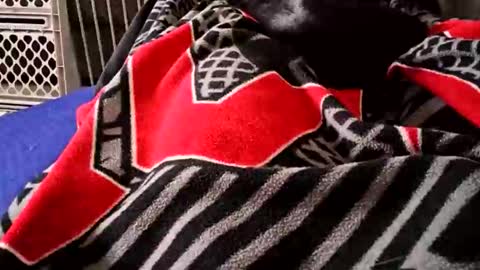 smokynight online show from September 13, 11:06 pm