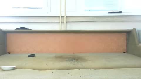 smoothboysk online show from March 12, 8:44 am