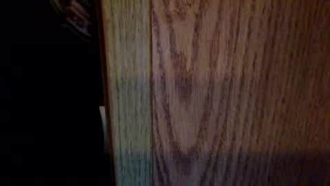 snafylnoel online show from January 21, 11:51 am