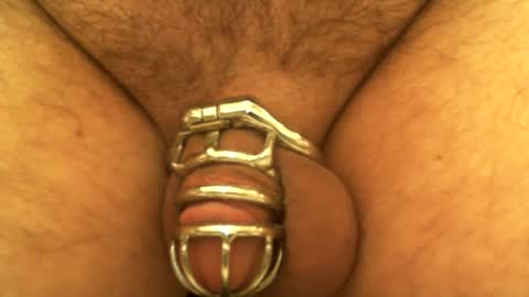 Snapshot of snakepit31 chatting on December 8, 11:08 pm Sissy Boy online show from December 8, 11:08 pm