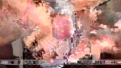 space Dog25 online show from January 12, 2:37 am