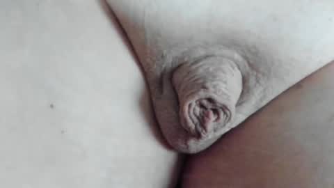 MicroClit online show from October 21, 3:48 pm