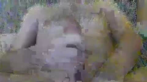 spypsat0 online show from October 18, 7:46 am