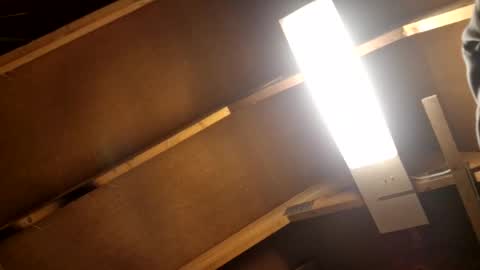 staralver online show from November 28, 2:48 am