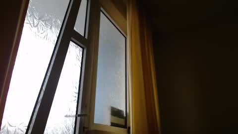 Snapshot of stevenbradley2017 chatting on January 24, 11:48 am Steven online show from January 24, 11:48 am