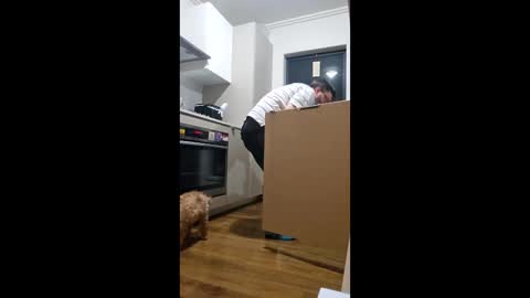 SteveTheTigerr online show from March 11, 12:56 pm