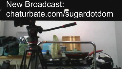 Sugar online show from February 24, 2:30 am