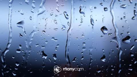 sven online show from February 12, 6:58 pm