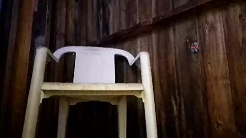 syevecrl online show from October 25, 3:19 am