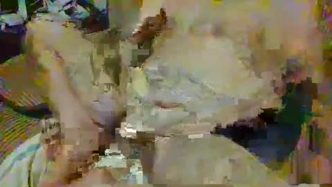 tacozod online show from February 7, 10:09 pm