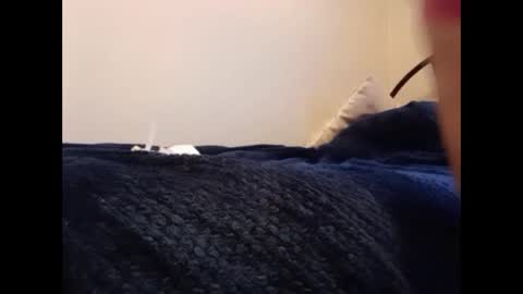 No Limits Chastity Slave online show from December 27, 3:06 pm