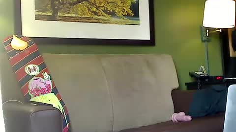 Tayler online show from March 6, 5:43 pm