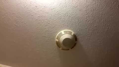 Lilbeebs online show from October 24, 7:04 pm