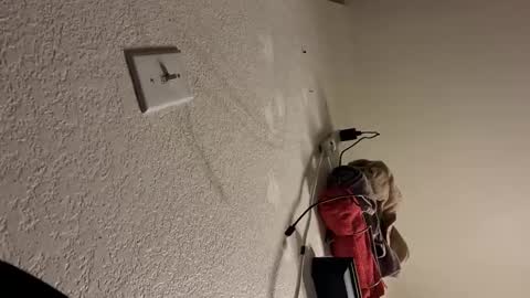 Luis online show from November 3, 12:30 pm