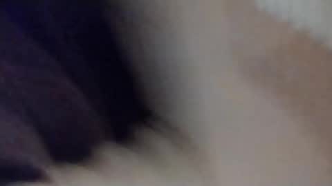 TedDolce online show from January 19, 11:53 pm