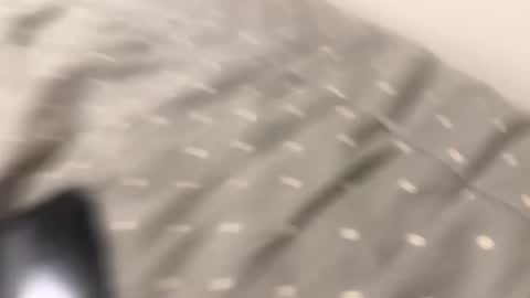 Snapshot of telecasted93 chatting on September 28, 2:53 am telecasted93 online show from September 28, 2:53 am