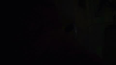 tetuo2 online show from October 1, 10:30 am