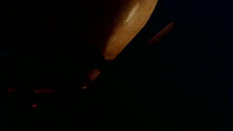 tger2024 online show from October 14, 4:58 pm