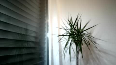 tger2024 online show from November 3, 3:58 pm