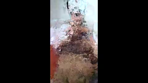 FUN21 online show from March 11, 12:56 pm